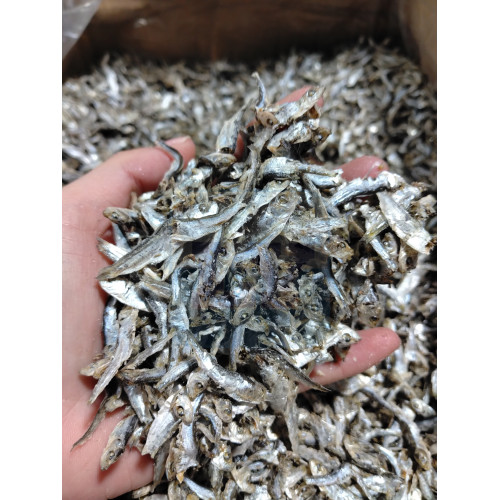 Ikan Bilis Tamban
