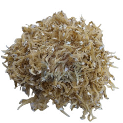 Ikan Bilis Kecil Mata Biru 丝江