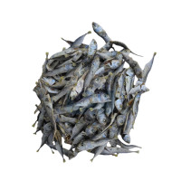 Ikan Bilis Kembong
