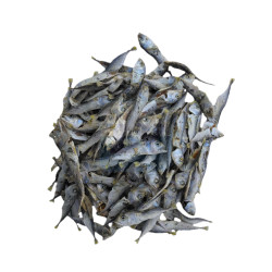 Ikan Bilis Kembong