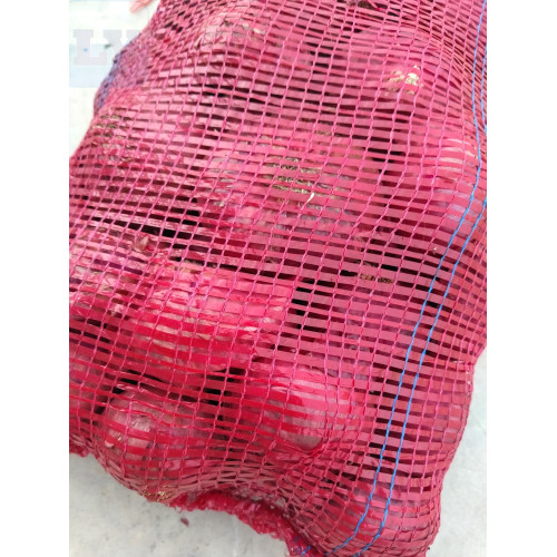 Bawang Besar India