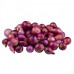 Bawang Rose