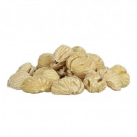 CHESTNUT 栗子