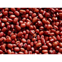 RED BEAN 红豆