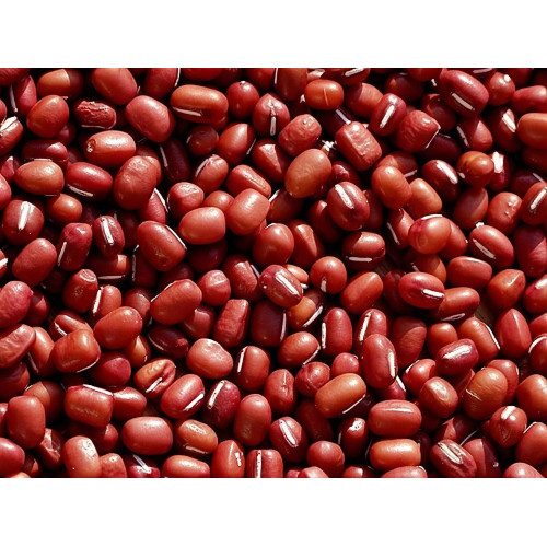 RED BEAN 红豆