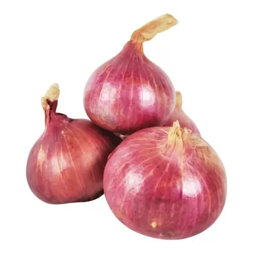 Bawang  Besar Pakistan
