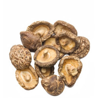 Tea Flower Mushroom 茶花菇 1KG / 3KG