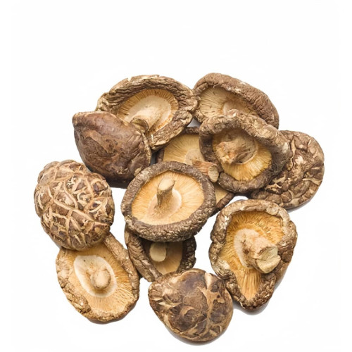 Tea Flower Mushroom 茶花菇 1KG / 3KG