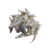 Ikan Masin Bulu Ayam 凤尾鱼