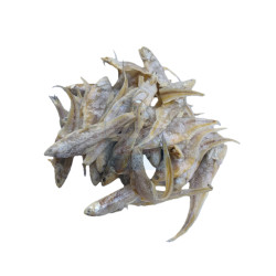 Ikan Masin Bulu Ayam 凤尾鱼