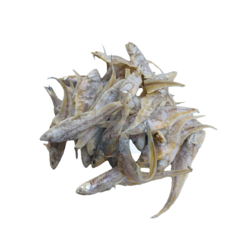 Ikan Masin Bulu Ayam 凤尾鱼