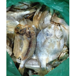 Ikan Masin Gelama Belah