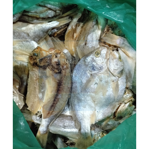 Ikan Masin Gelama Belah