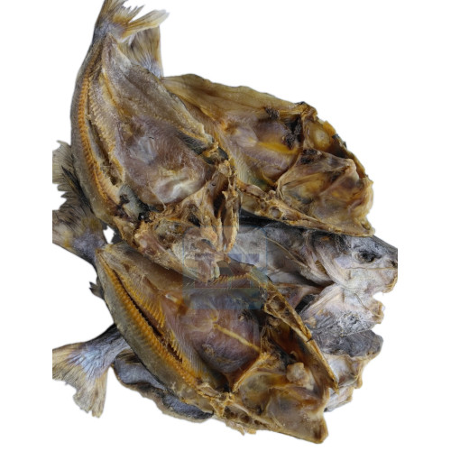 Ikan Masin Duri