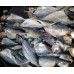 Ikan Masin Kuning