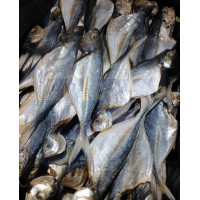Ikan Masin Kuning