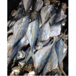 Ikan Masin Kuning