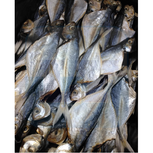 Ikan Masin Kuning