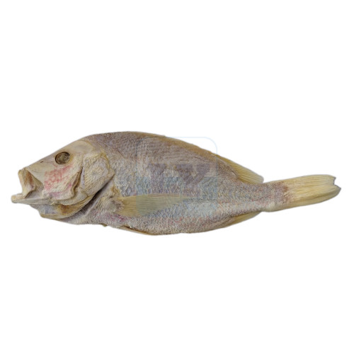 Ikan Masin Merah 红鱼