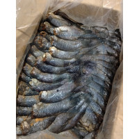 Ikan Masin Sepat Kecil