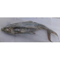 Ikan Masin Tenggiri