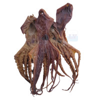 Dried Octopus 章鱼干