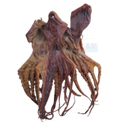 Dried Octopus 章鱼干