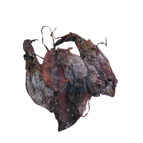 Sotong Kering Hitam 黑鱿鱼