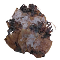 Sotong Kering Katak 墨斗干