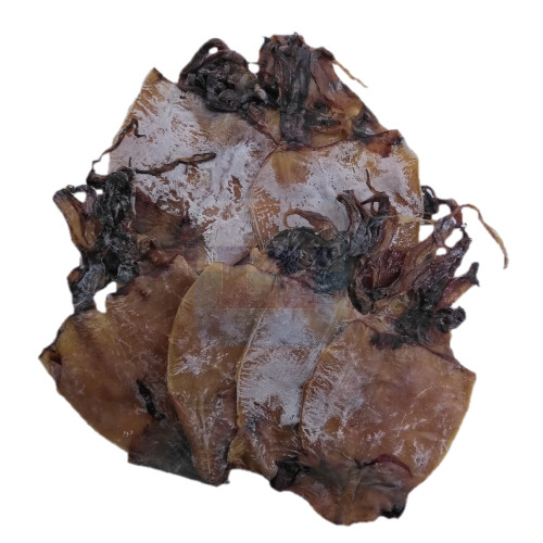 Sotong Kering Katak 墨斗干