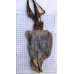 Sotong Kering Rendam *03*鱿鱼干/吊片