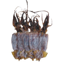 Sotong Kering Rendam *03*鱿鱼干/吊片