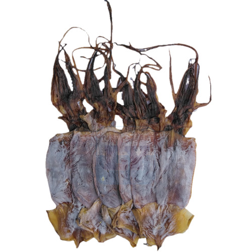 Sotong Kering Rendam *03*鱿鱼干/吊片