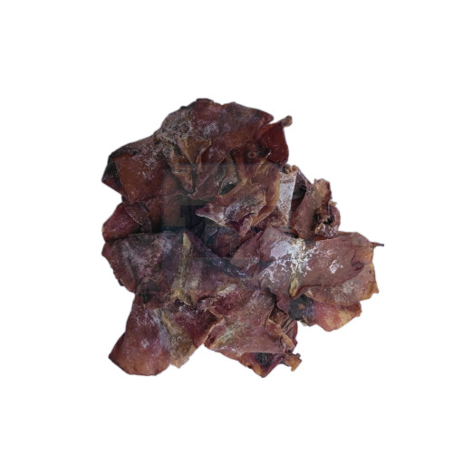 Sotong Sayap 鱿鱼翅