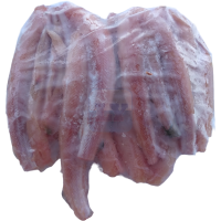 Frozen Baby Shark Meat 冷冻鲨鱼肉1kg