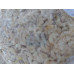 Frozen Small Shrimp Meat 冷冻占虾肉 500g / 1kg