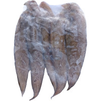 Frozen Tongue Fish 冷冻龙舌鱼 (A) 1KG (5条-6条)