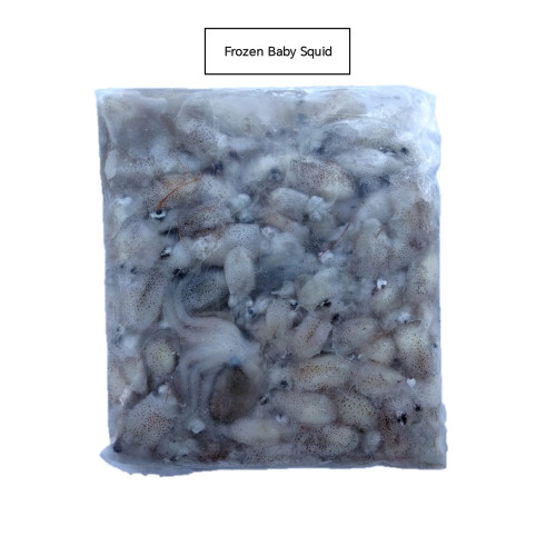 Frozen Baby Squid 冷冻苏冬仔 500g per pack